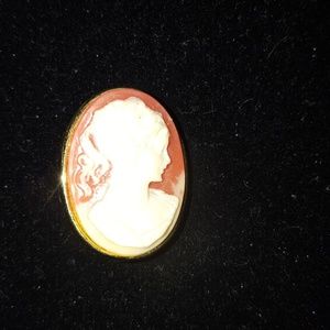 Beautiful camio brooch